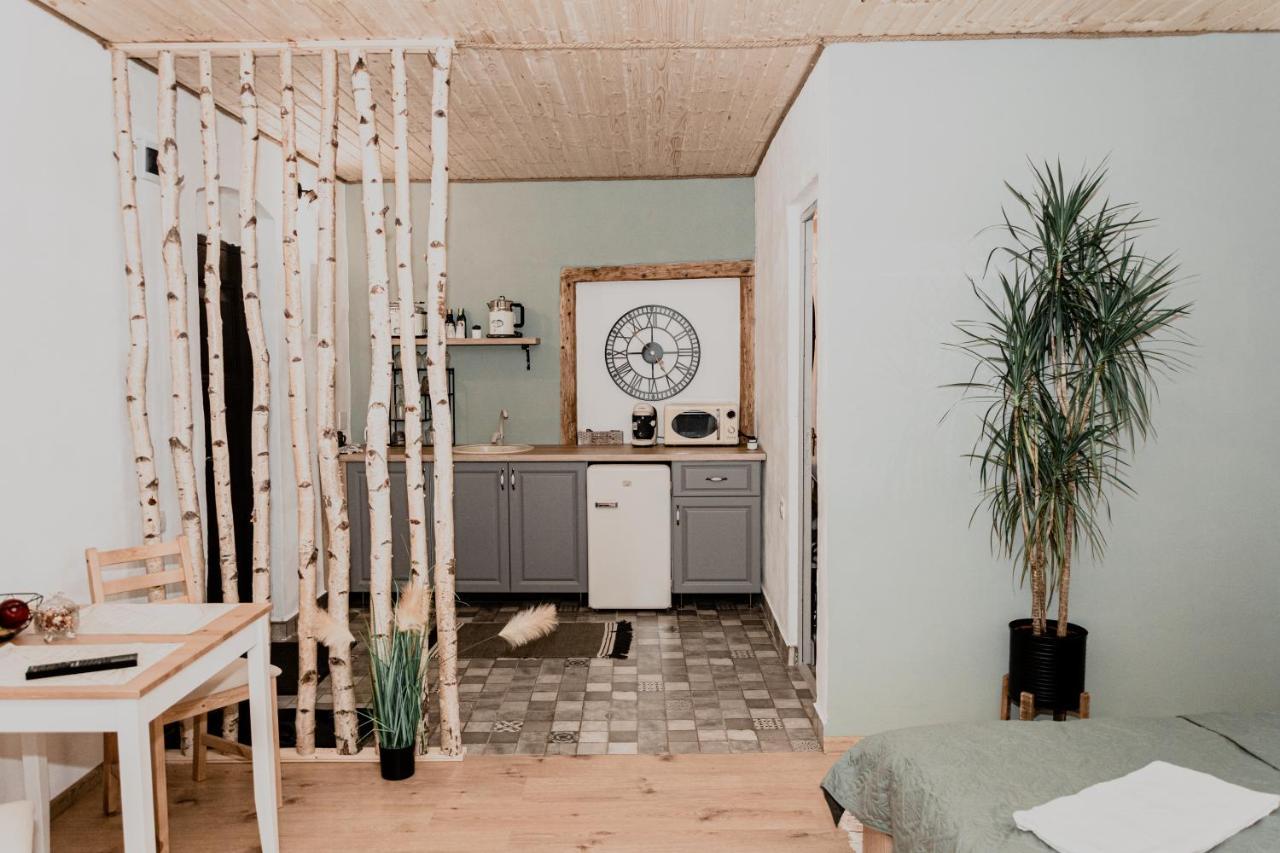 Central Garden Apartments 브라쇼브 외부 사진